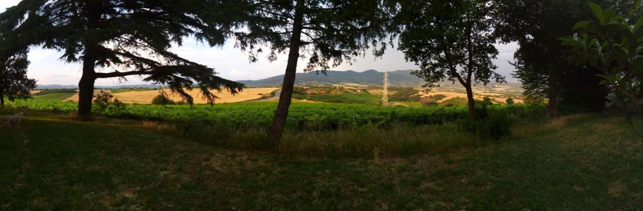 B&B La Gallinella Rossa Baschi Exterior photo