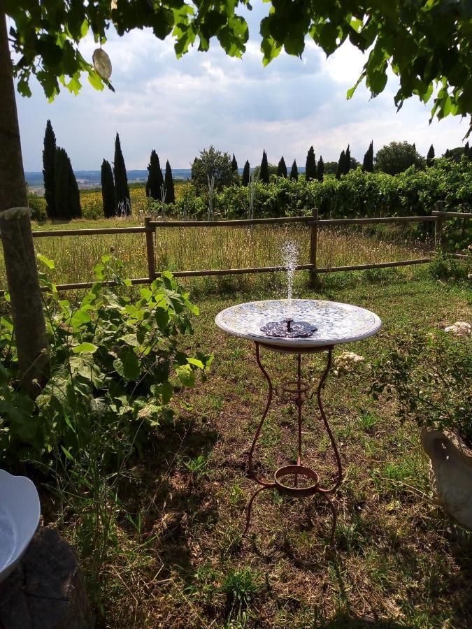 B&B La Gallinella Rossa Baschi Exterior photo