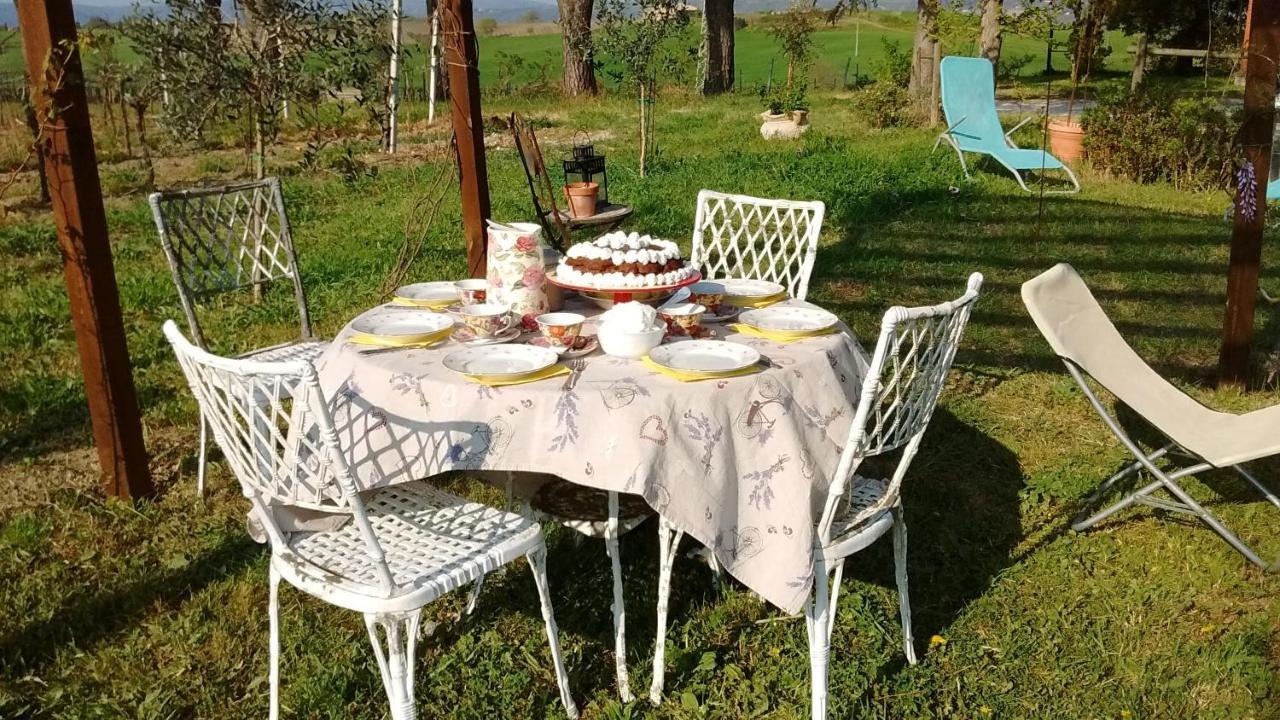 B&B La Gallinella Rossa Baschi Exterior photo