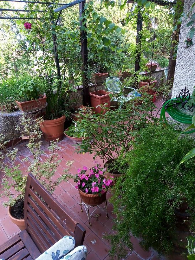 B&B La Gallinella Rossa Baschi Exterior photo