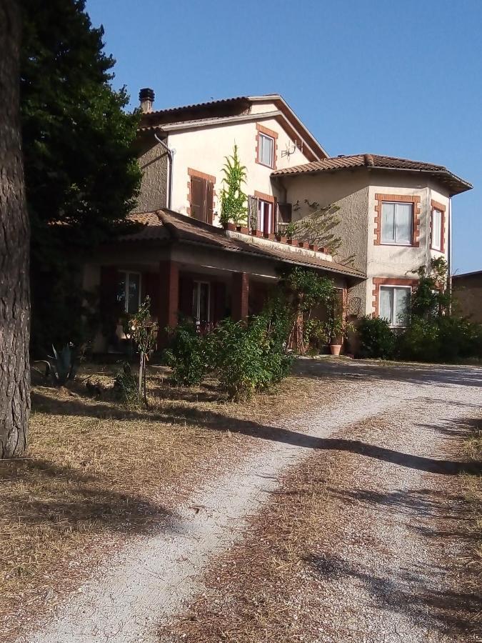 B&B La Gallinella Rossa Baschi Exterior photo