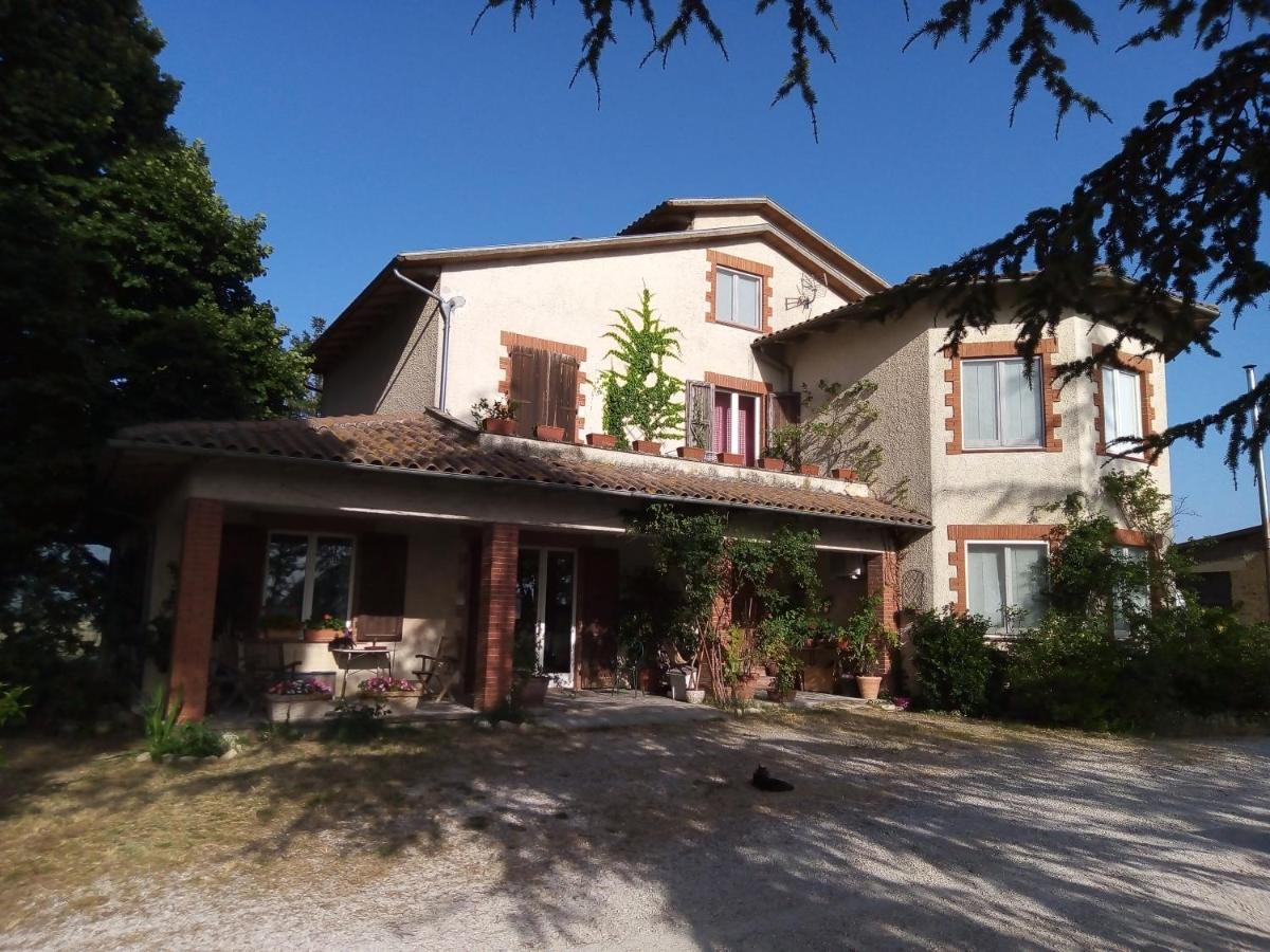 B&B La Gallinella Rossa Baschi Exterior photo